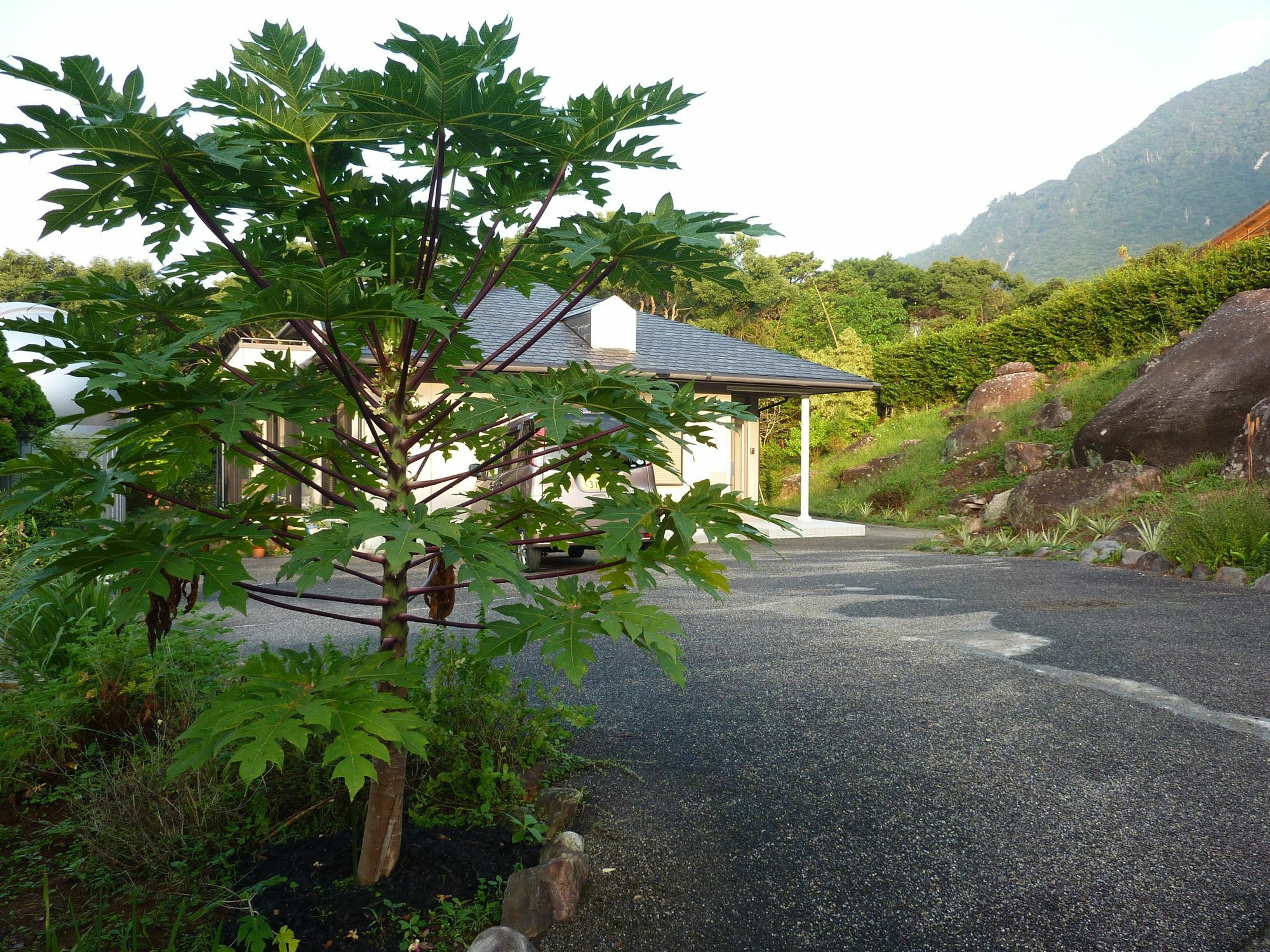 Hotel Sora-Mame Yakushima  Exterior foto